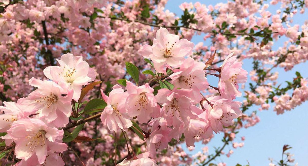 beat365官方网站风景