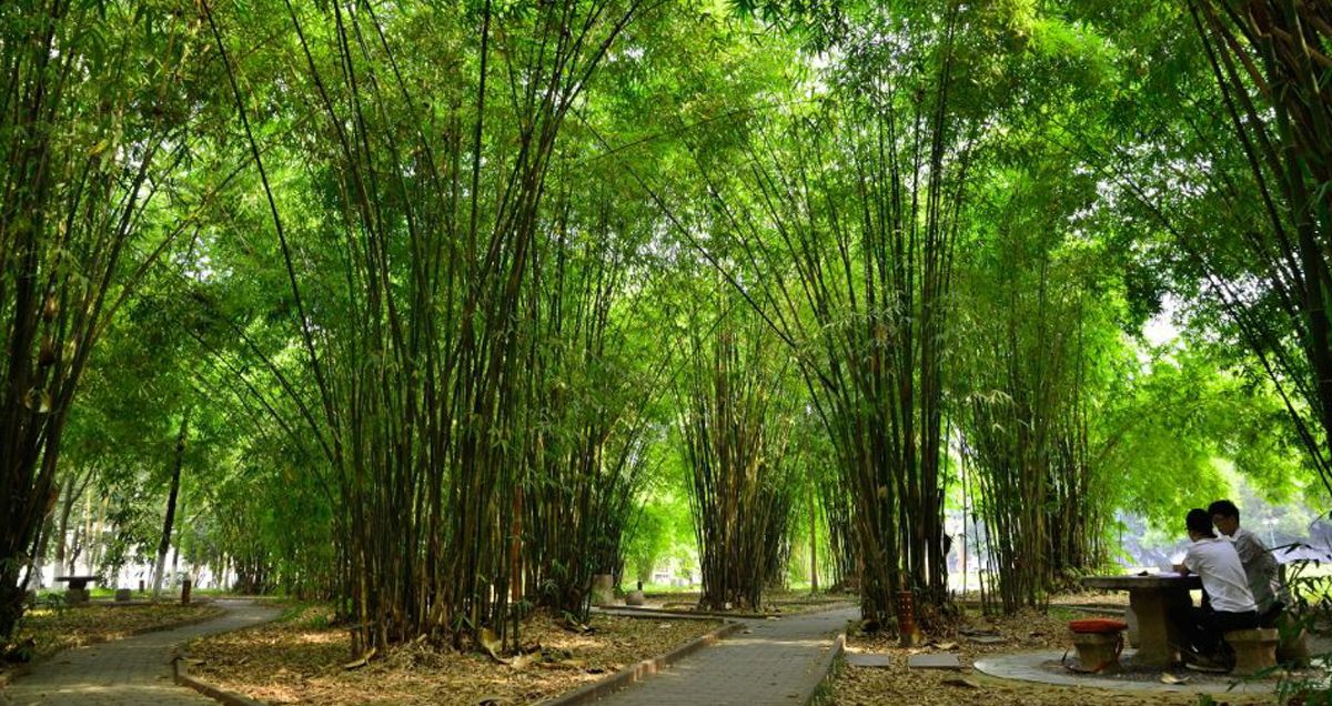 beat365官方网站风景